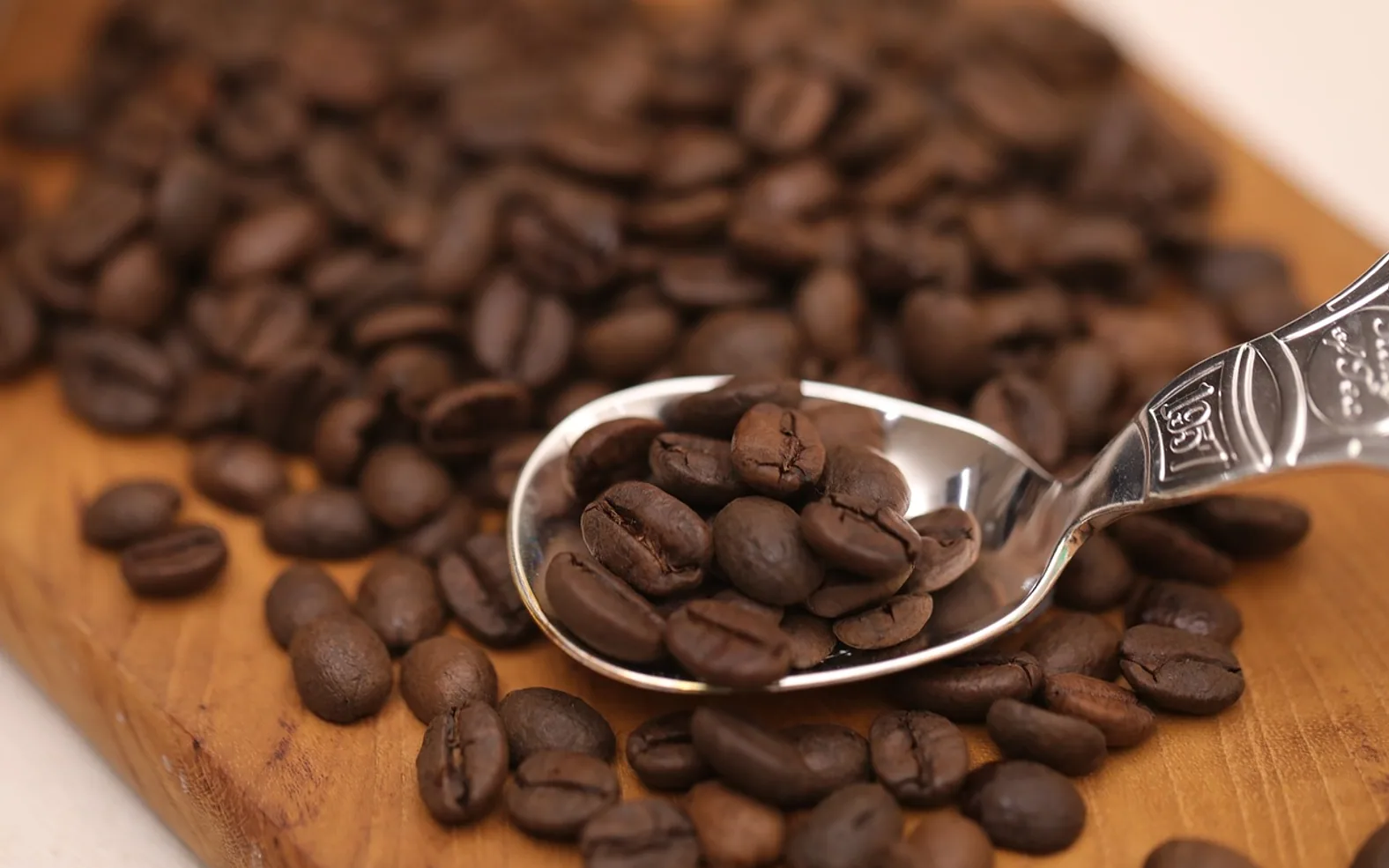 Fermented coffee, cafe and watching as